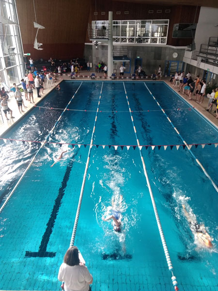 Schwimm- und Skiclub Schwenningen e.V. Schwimm- und Skiclub Schwenningen e.V.